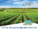 חלומות כפר סבא - דופלקסים