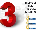 הדר 3 ,4 ,6-מעלה אדומים
