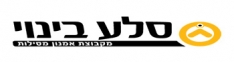 סלע בינוי