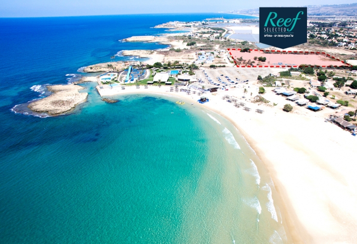 REEF SELECTED – מגרשים לבנייה עצמית REEF SELECTED – מגרשים לבנייה עצמית