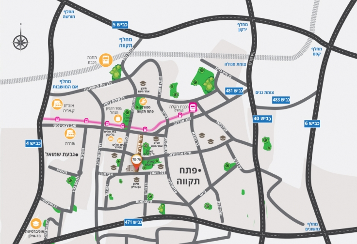 צהלה