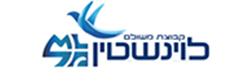 משולם לוינשטין