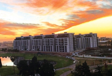 Yad1