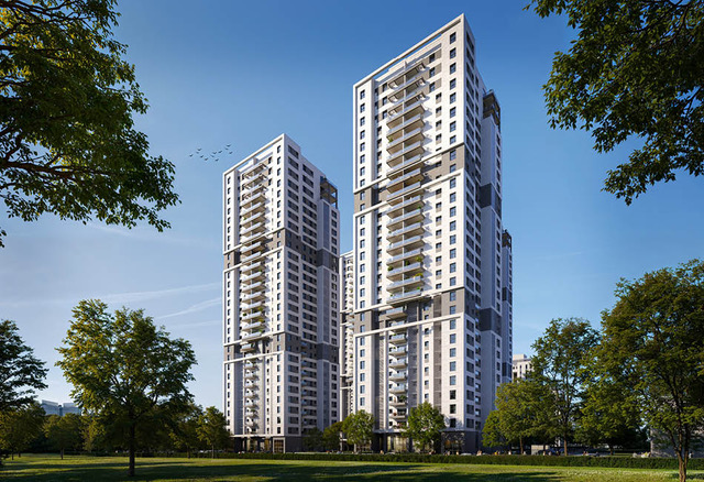 פרשקובסקי קרית פרס אשדוד